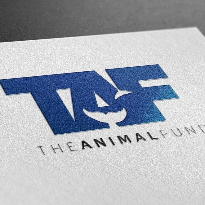 The Animal Fund logo embossed on paper, whale tail negative space